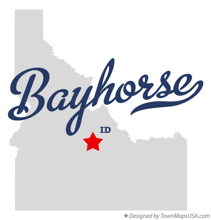 Map of Bayhorse Idaho ID