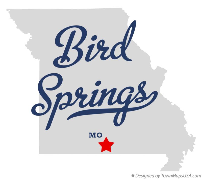 Map of Bird Springs Missouri MO