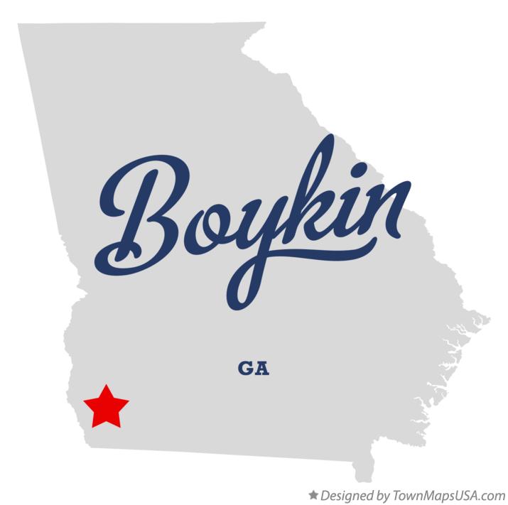 Map of Boykin Georgia GA