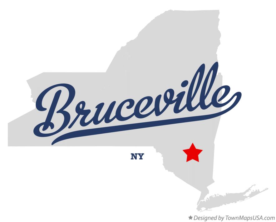 Map of Bruceville New York NY