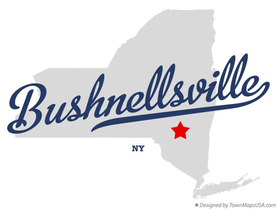Map of Bushnellsville New York NY