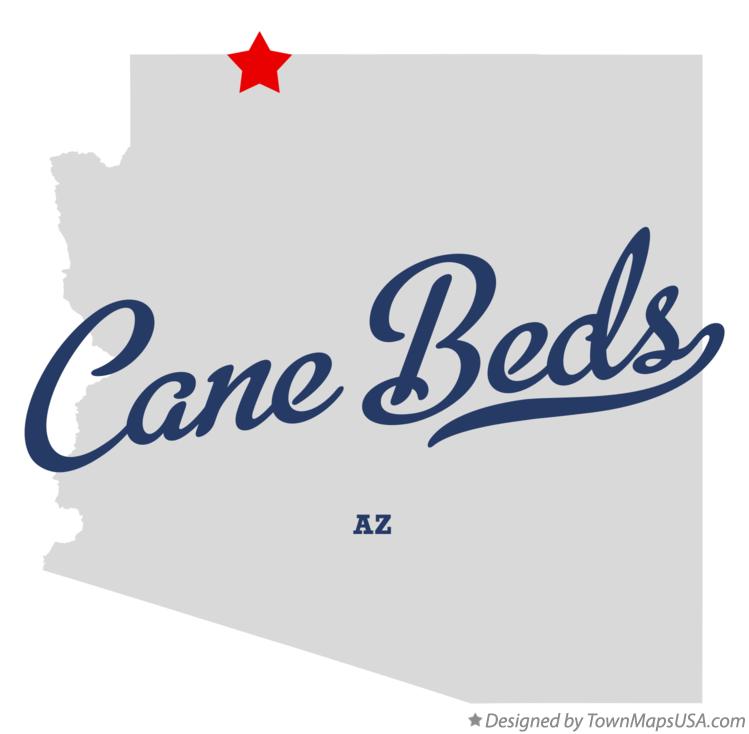 Map of Cane Beds Arizona AZ