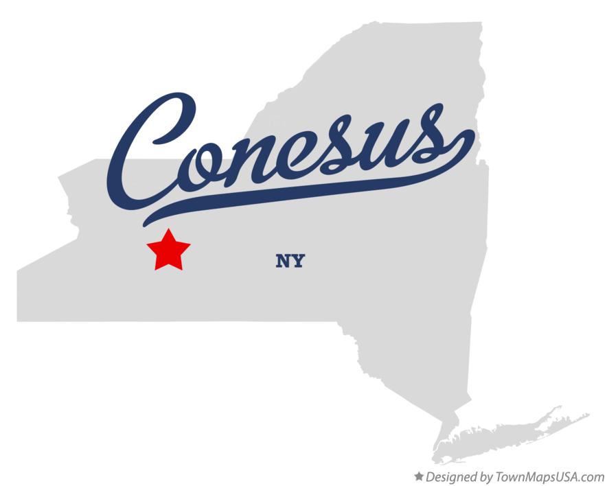 Map of Conesus New York NY