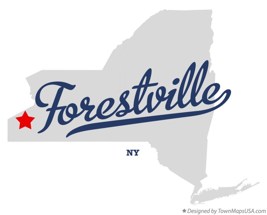 Map of Forestville New York NY