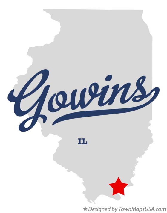 Map of Gowins Illinois IL