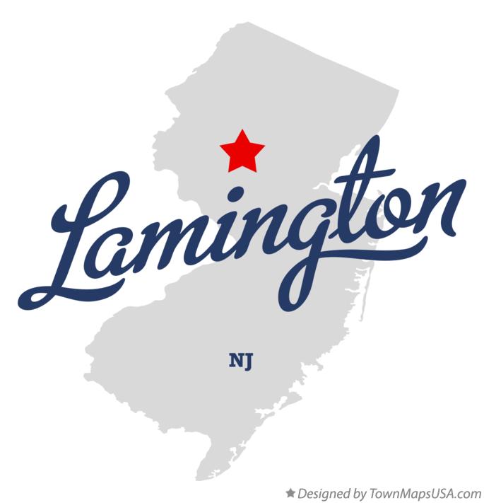 Map of Lamington New Jersey NJ