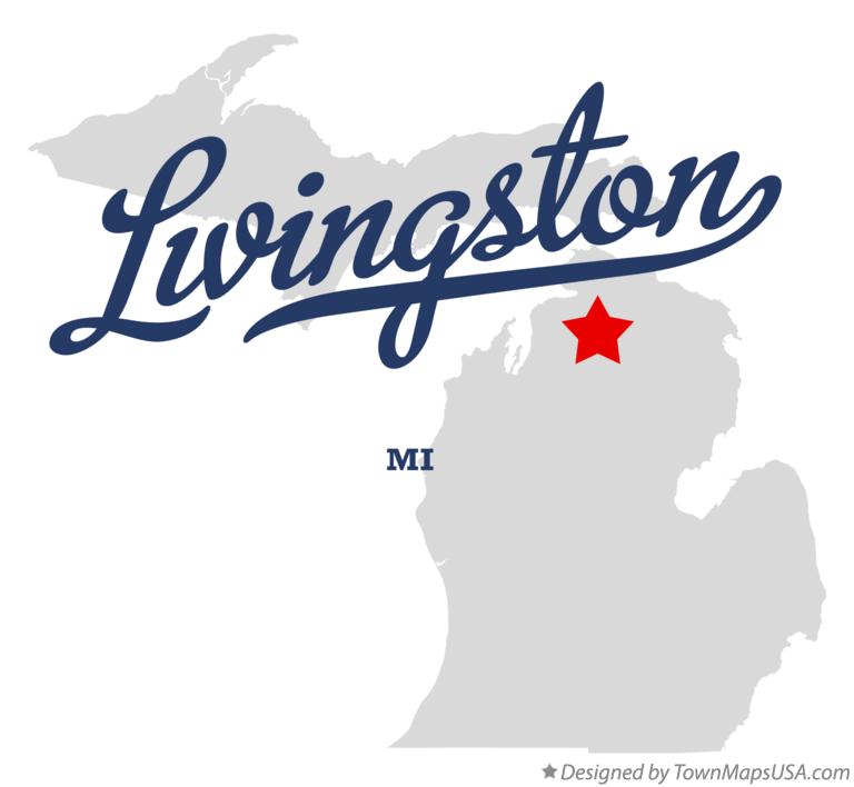 Map of Livingston Michigan MI