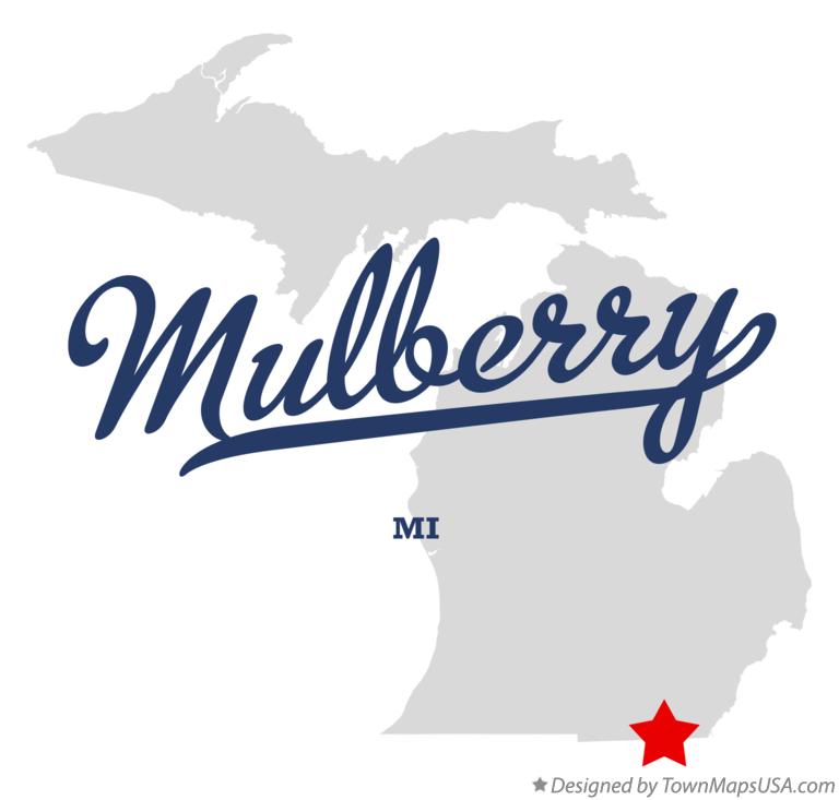Map of Mulberry Michigan MI