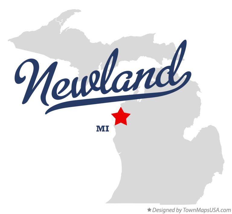 Map of Newland Michigan MI