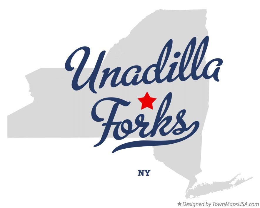 Map of Unadilla Forks New York NY